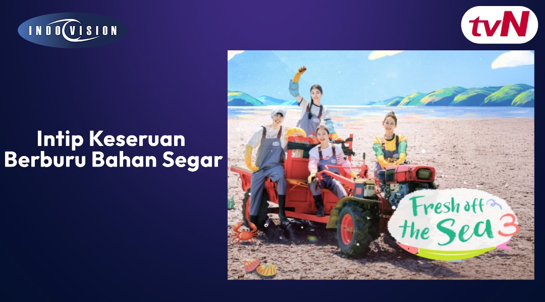 Petualangan Pesisir Berlanjut! Intip Keseruan Berburu Bahan Segar di Fresh Off The Sea 3!